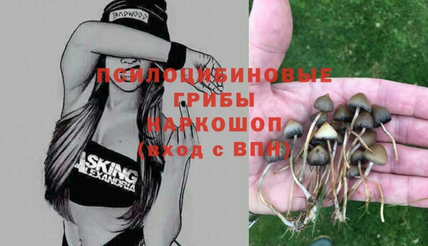 эйфоретик Кинешма