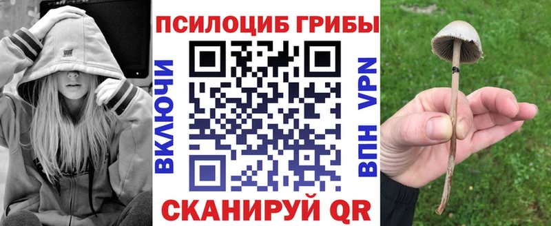 Купить закладки  Югорск  Галлюциногенные грибы Magic Shrooms 
